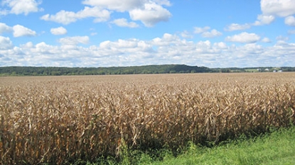 Corn, soybean harvest pace quickens