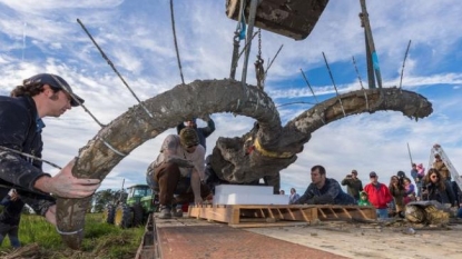 Farmer discovers mammoth bones in Washtenaw Co