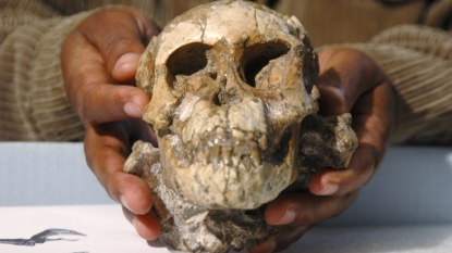 First ancient human genome from Africa is sequenced