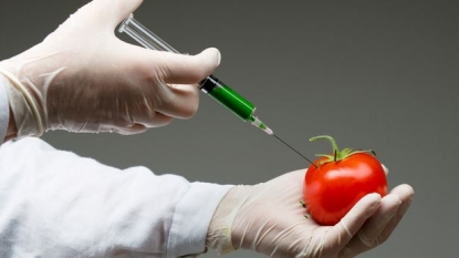 Boffins invent new ‘super tomato’ to help fight killer diseases including cancers