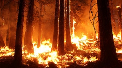 If temperature rise continues, more wildfires could take place