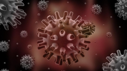 Majority of world population infected with herpes