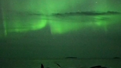 Mesmerizing video of whales playing under the Northern Lights