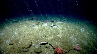 Methane Bubbles coming up from ocean vents off Washington and Oregon coasts