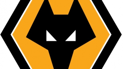 Morgan puts Wolves up for sale