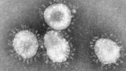 Breakthrough: Single test can reveal all human and animal viruses