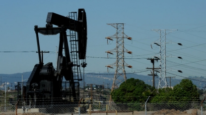 Oil falls after U.S. inventories show buildup