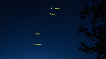 Jupiter, Venus and Mars stand proud in the morning sky