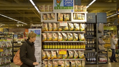 EP rejects possible GM food bans