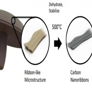 Researchers just made batteries from mushrooms… and they’re surprisingly good