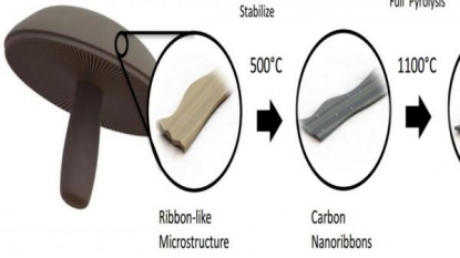 Researchers just made batteries from mushrooms… and they’re surprisingly good