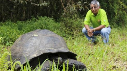 Science News: Scientists Discover New Giant Tortoise Species in Galapagos