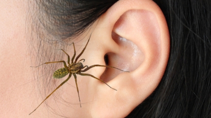 ‘Scratching noise’ in woman’s ear caused by spider weaving web