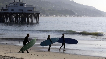 Why a rare, poisonous sea snake showed up on a California beach