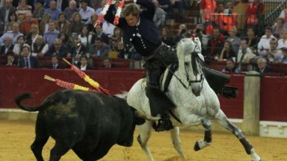 The Buzz | European Union against spending farm aid for bullfighting