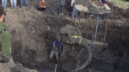 A Michigan Farmer Found a Mammoth Killed by Ancient Humans