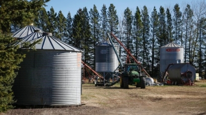 Three Alberta sisters die after being buried in canola seed