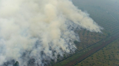 Three years to see result of haze solution, Indonesia president says