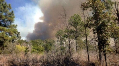 Nearly 3 dozen homes burned in Texas wildfire