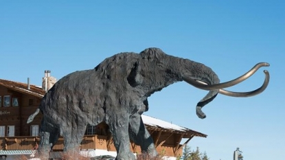 Woolly mammoth bones found by farmer in Michigan