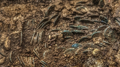 A Glint In A Molehill Reveals Treasure Trove Of 4000 Ancient Coins