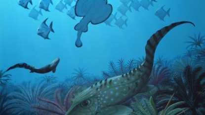 Mass extinction results in tiny fish dominating seas