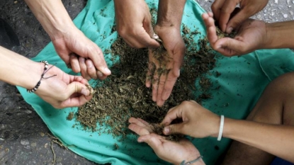 Colombia to legalize commercial sale of medical marijuana