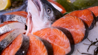 What’s for dinner? Genetically engineered salmon OK’d by FDA