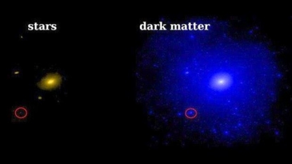 Dark matter dominates in nearby dwarf galaxy