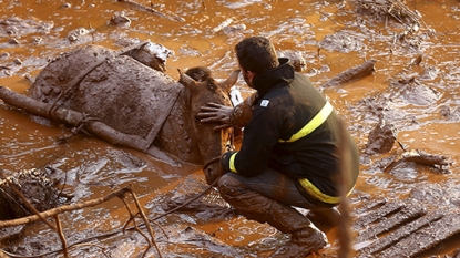 Dead, at Least 24 Still Missing After Brazil Dams Burst