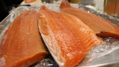 FDA Clears Genetically Engineered Fish to Eat