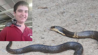 Animal-loving Texas teen killed self with poisonous cobra