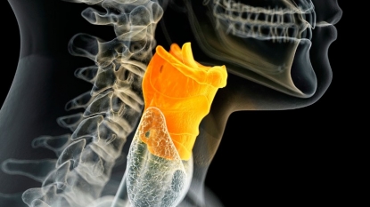 Lab-grown vocal cords offer hope of treating voice disorders