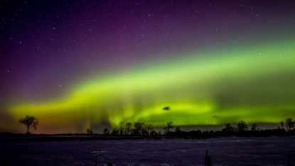 Leonids Meteor Shower: When, Where and How to Watch it