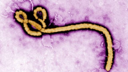 New case of Ebola found in Liberia