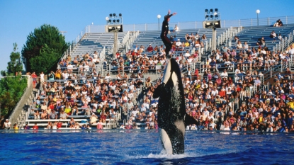 SeaWorld ending killer whale shows in San Diego