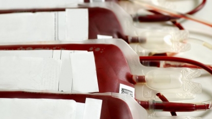 France lifts ban on gay men donating blood