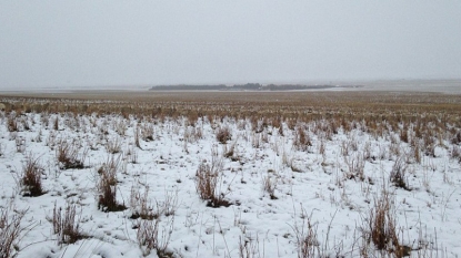 There Are 550 Sheep in This Landscape Photo