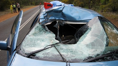 Volvo testing kangaroo-avoidance technology in Canberra