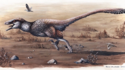 17-foot-long ‘Dakotaraptor’ had feathered wings