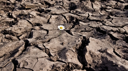 2015 likely to be warmest on record, says United Nations weather body