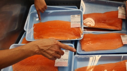 Genetically Engineered Salmon Become First Modified Food Animal Approved For