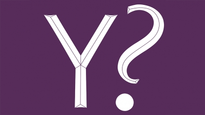 Yahoo Has Interest From Verizon, IAC/InterActive, News Corp, Time