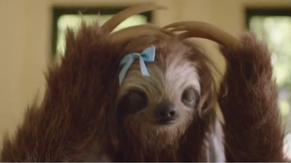 New South Wales anti-marijuana sloth campaign creates new stoner icon