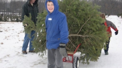 O Christmas tree, grown locally