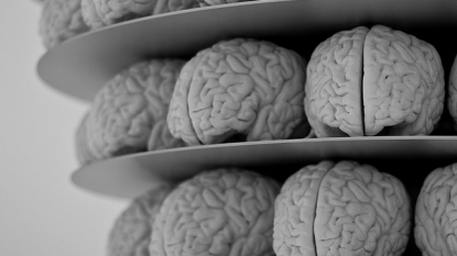 Science says male and female brains are no different