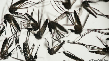 BOA monitoring Zika virus outbreak amid warnings from World Health Organization