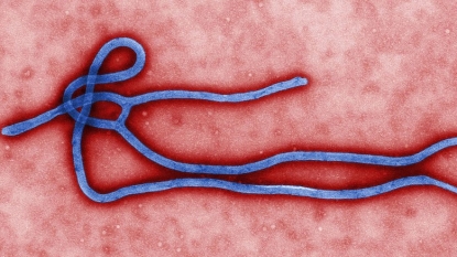 Where’s the dance party? West Africa is free from Ebola