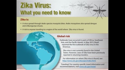 Zika virus strikes fear into the USA