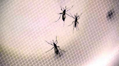 Baby with microcephaly had Zika infection